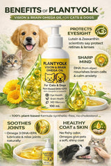 Omega 3 Oil for Dogs & Cats 100mL – Plant-Based DHA & EPA (Algae) – Fish Oil Alternative with Lutein, Zeaxanthin & Astaxanthin – Brain & Vision Support