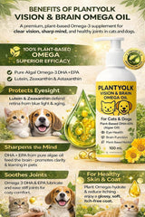 Omega 3 Oil for Dogs & Cats 100mL – Plant-Based DHA & EPA (Algae) – Fish Oil Alternative with Lutein, Zeaxanthin & Astaxanthin – Brain & Vision Support